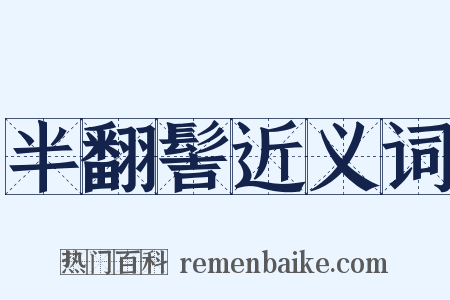 半翻髻近义词是什么意思的图片